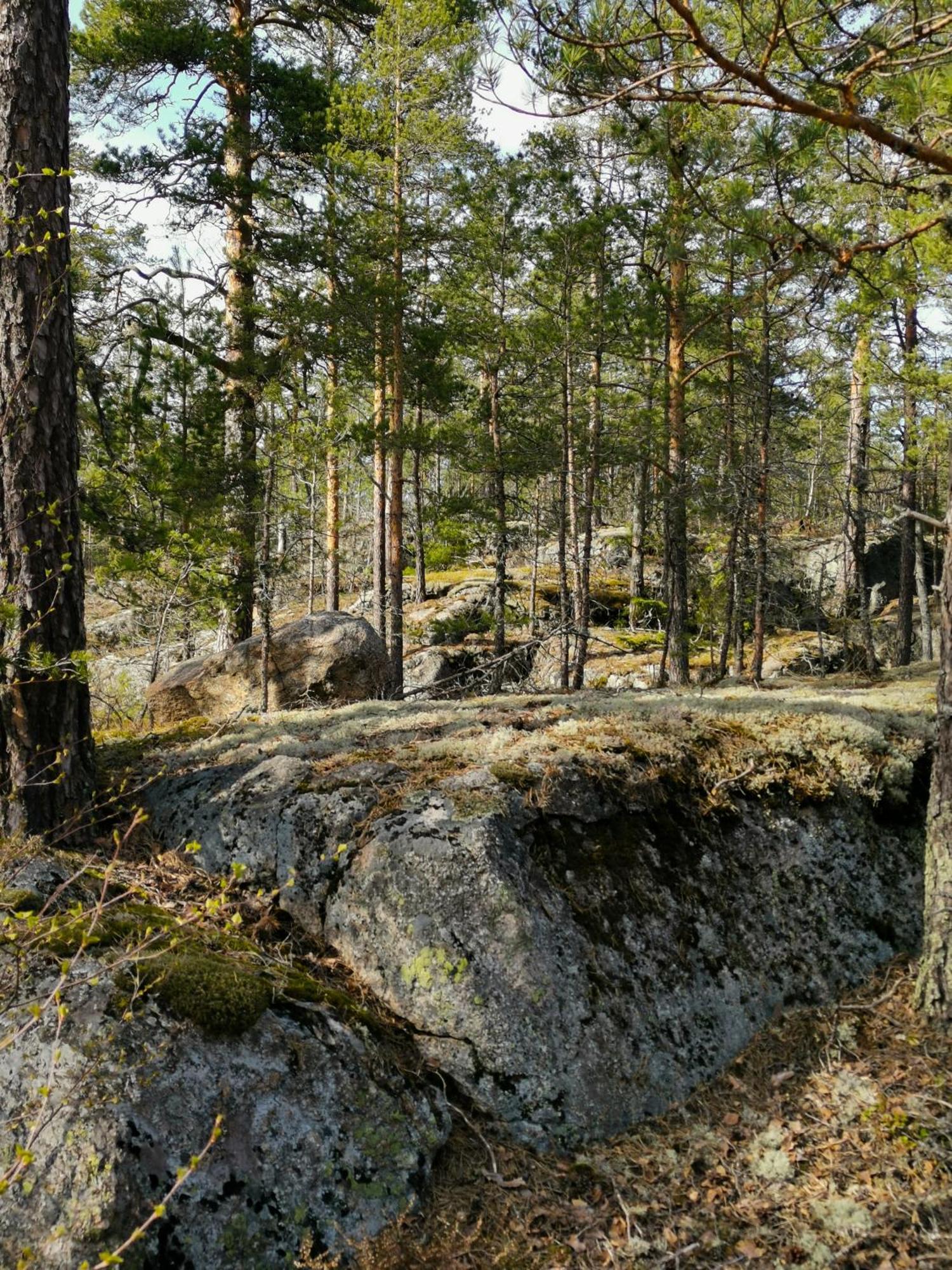 Blackwood Villa Soderkulla (Helsinki)